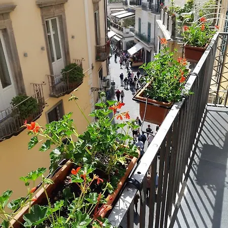 Hotel Antica Repubblica In Center At 100mt From The Sea 3*