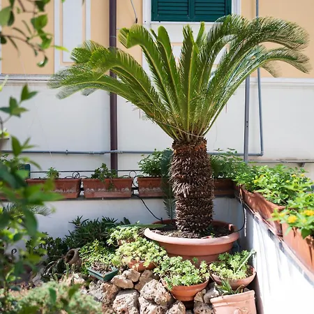 Antica Repubblica In Center At 100mt From The Sea أمالفي